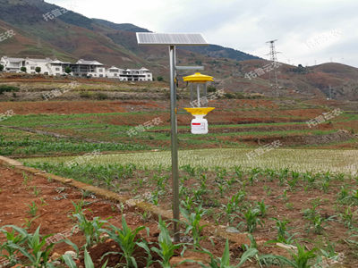 太陽能殺蟲燈廠家哪家好